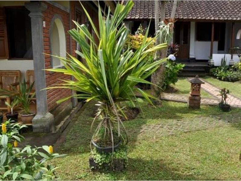 Meme Surung Guesthouse Munduk Dış mekan fotoğraf