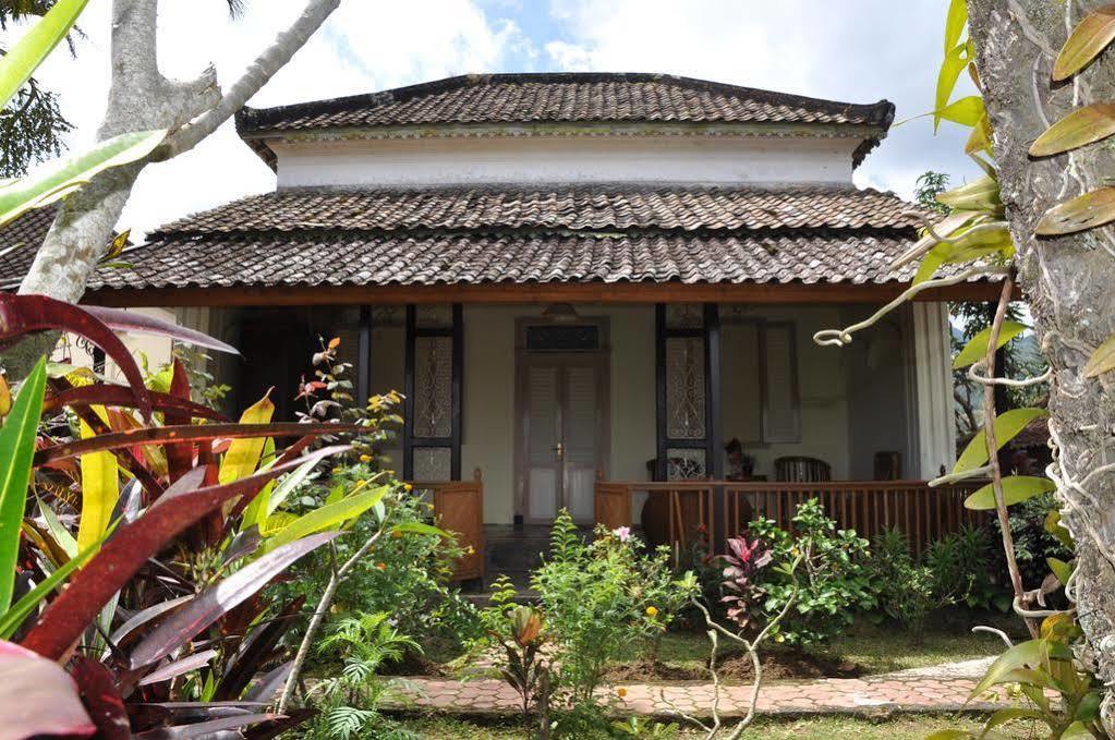 Meme Surung Guesthouse Munduk Dış mekan fotoğraf